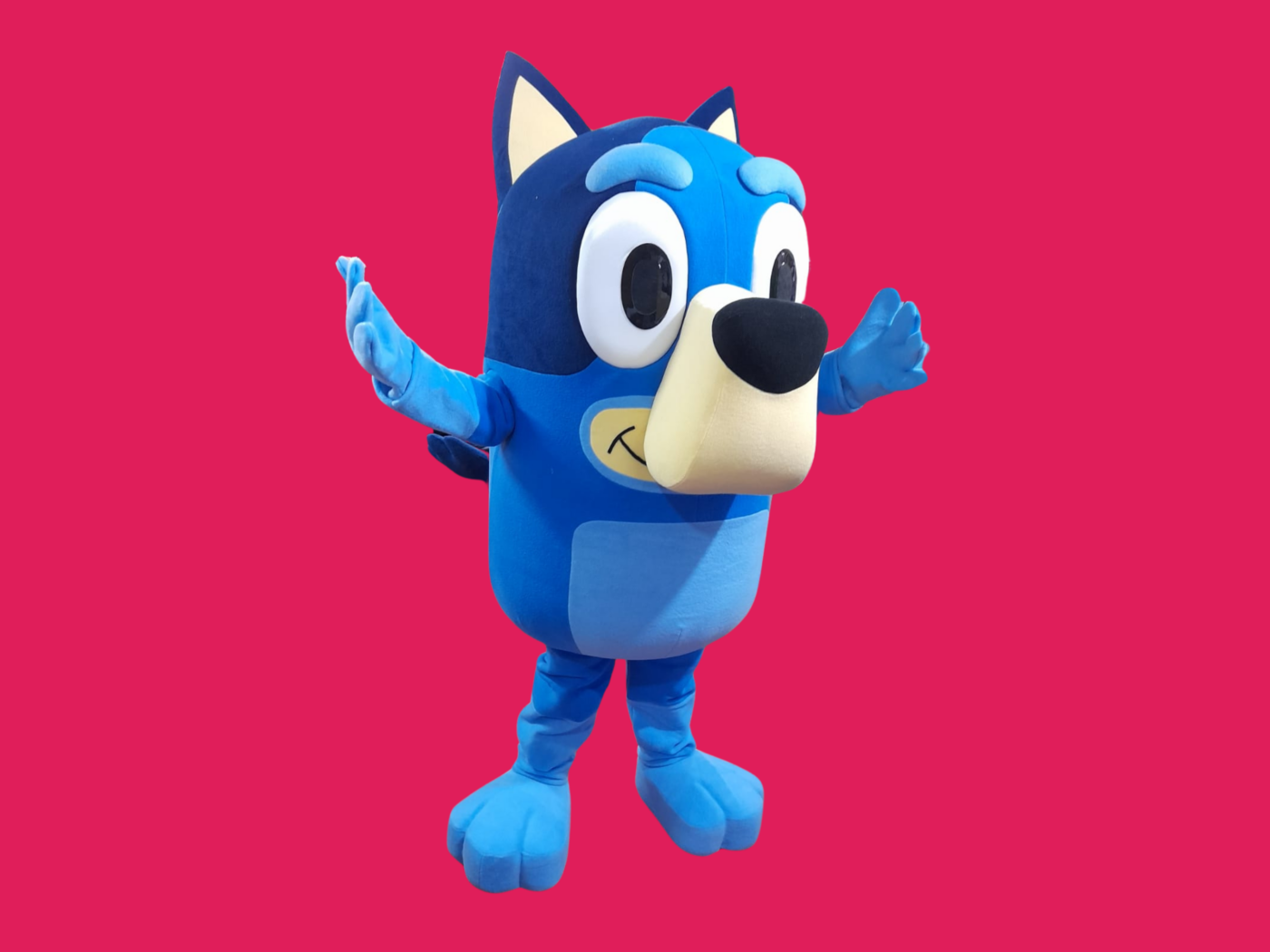 Bingo Party Character For Hire Characters io