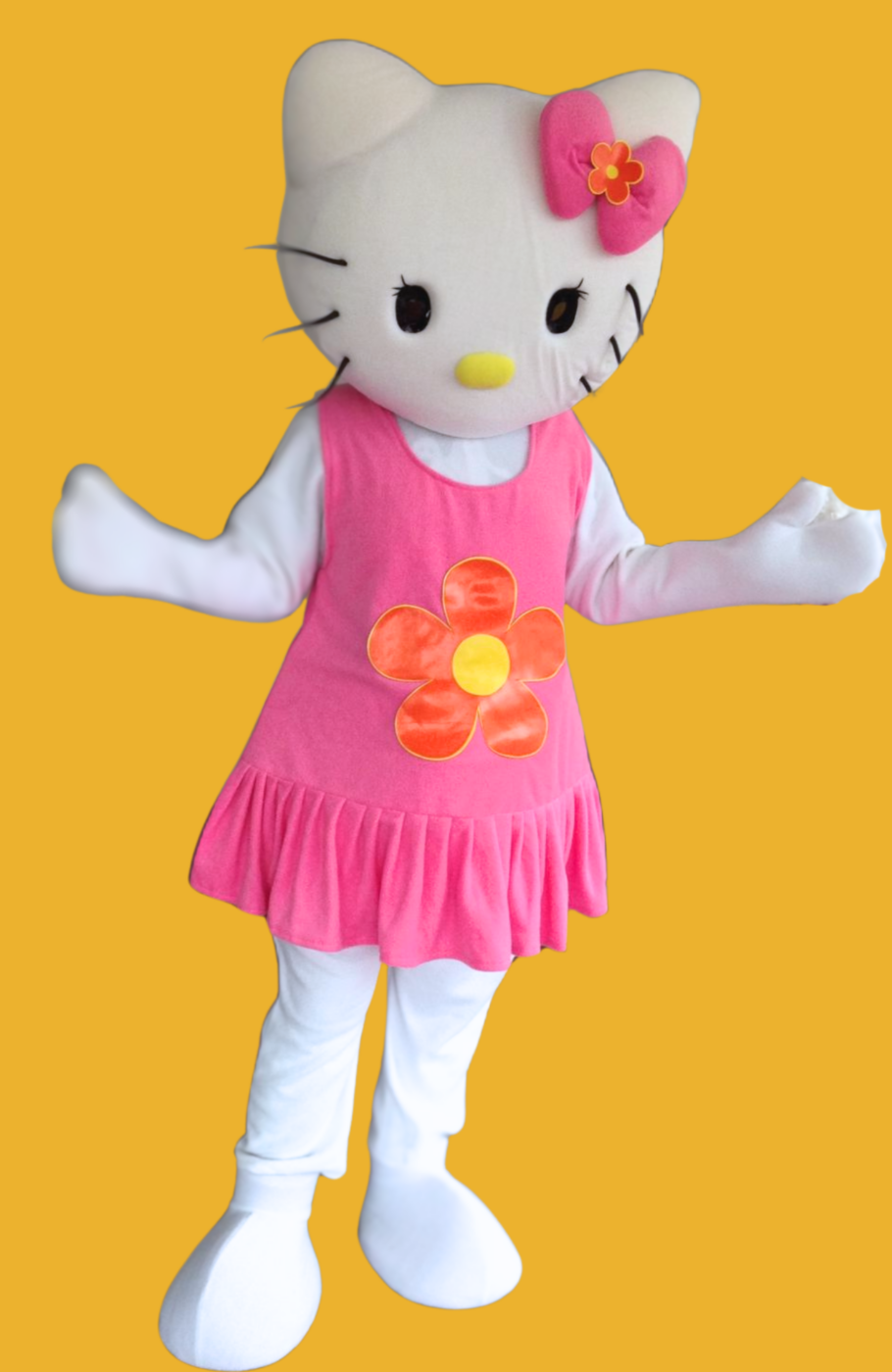 hello kitty party character for hire